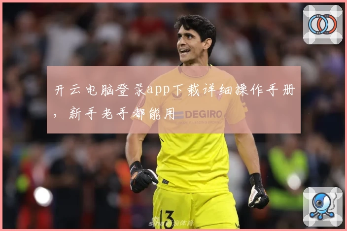 开云电脑登录app下载详细操作手册，新手老手都能用