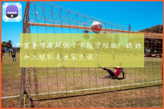 宫鲁鸣质疑张子宇防守短板：选她加入球队是决策失误？