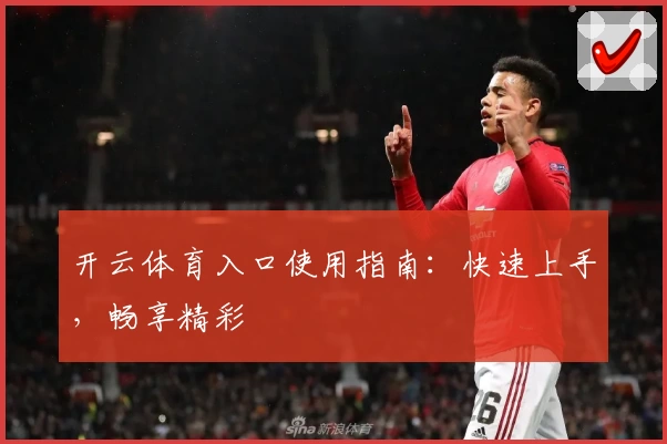 开云体育入口使用指南:快速上手,畅享精彩