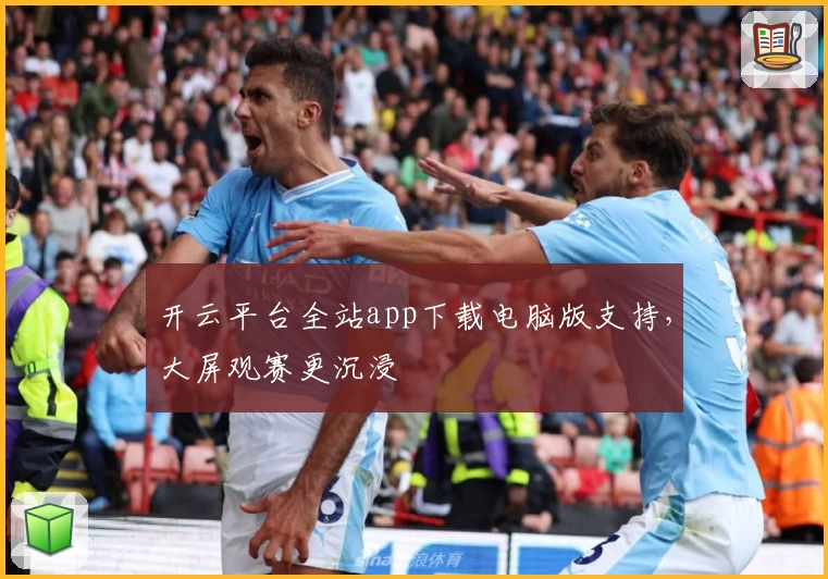开云平台全站app下载电脑版支持，大屏观赛更沉浸