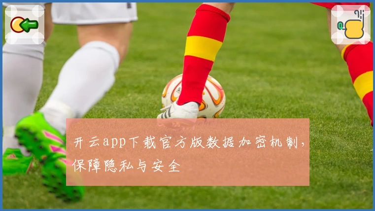 开云app下载官方版数据加密机制，保障隐私与安全